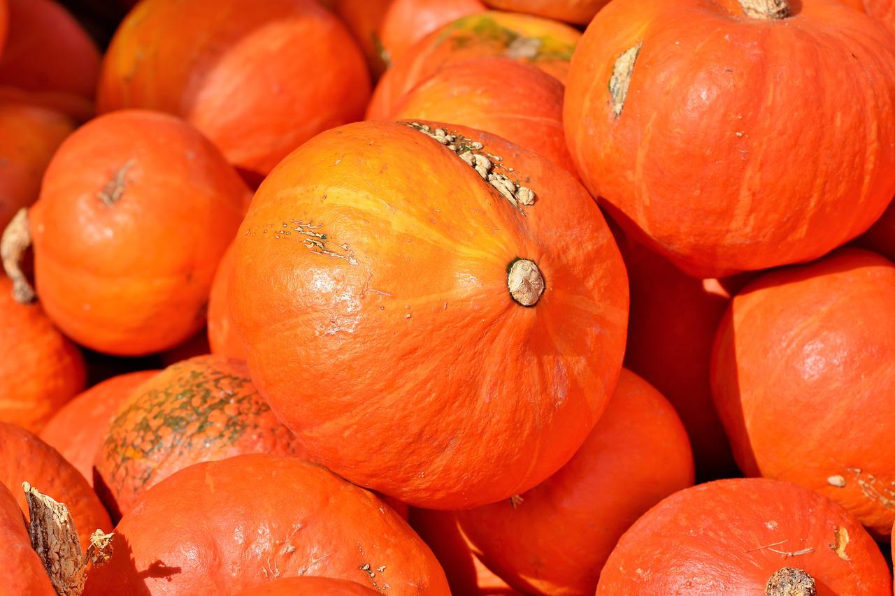 pumpkin, autumn, harvest-3735640.jpg